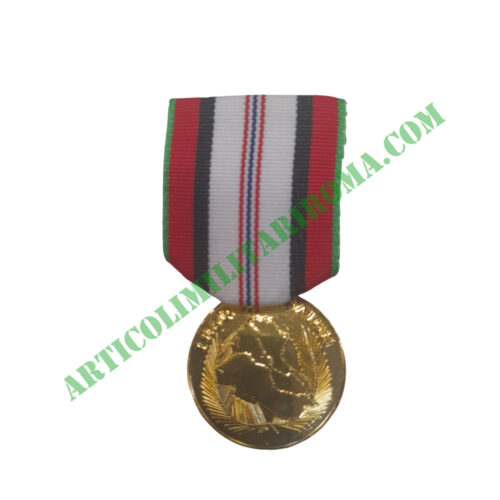 MEDAGLIA FOR SERVICE IRAQ